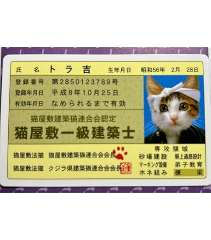 Amazon.co.jp: なめ猫 レトロ なめんなよ猫 下敷き ！ : ペット用品
